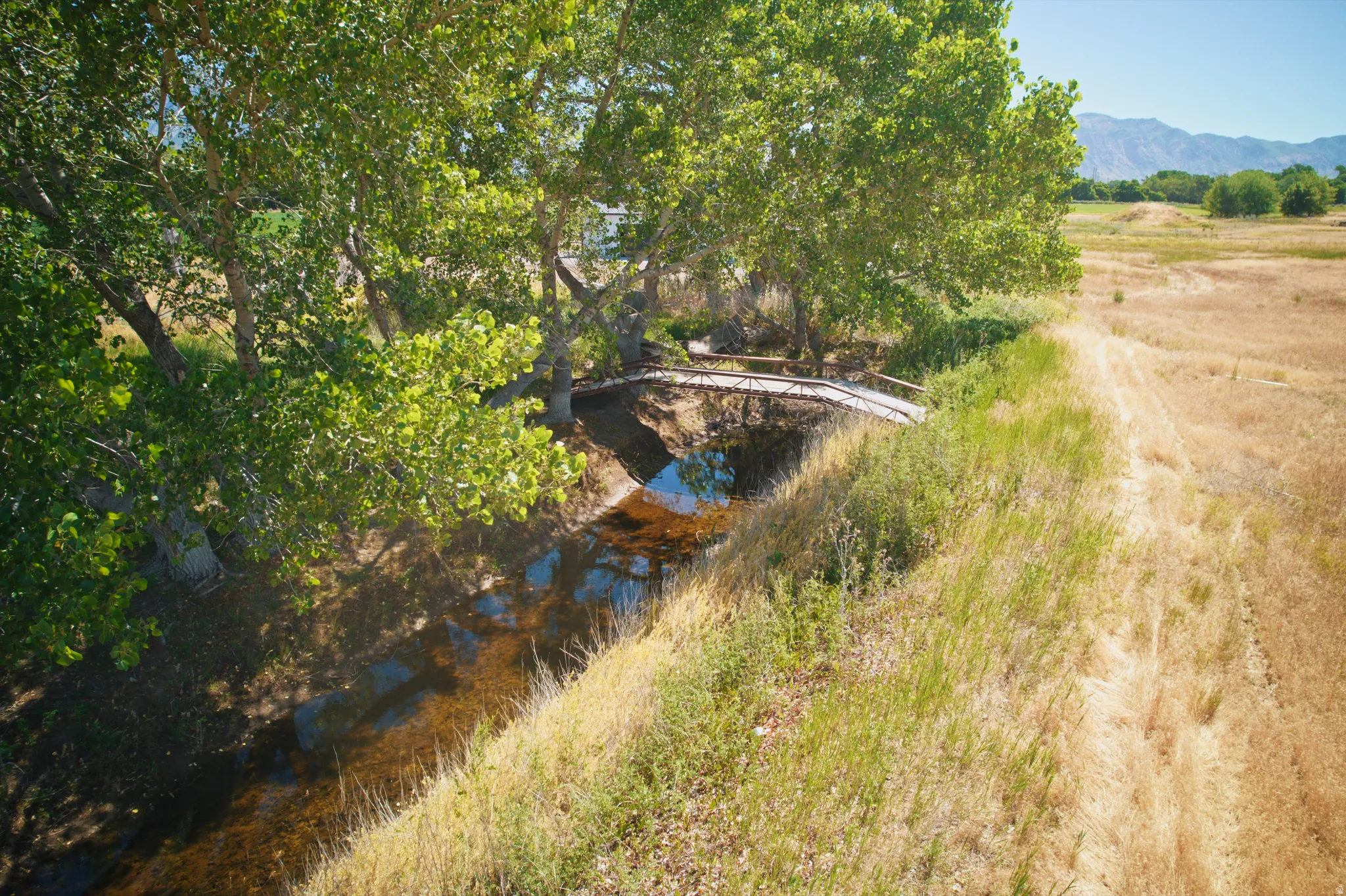 Wood bridge spanning a creek, bordered by mature trees and a natural grass landscape