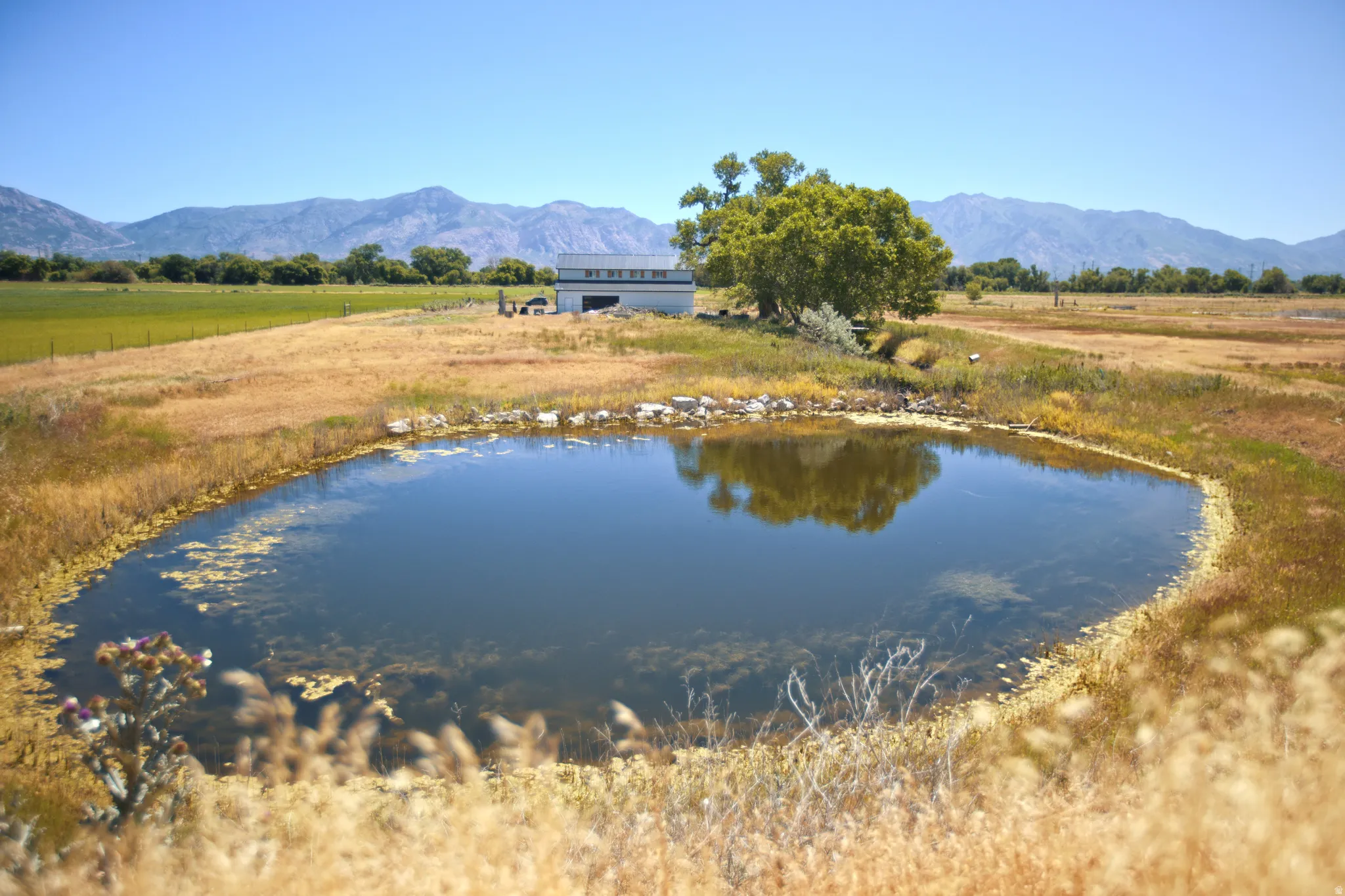 Expansive outdoor space featuring a serene pond, mature trees, a distant outbuilding, and mountain scenery
