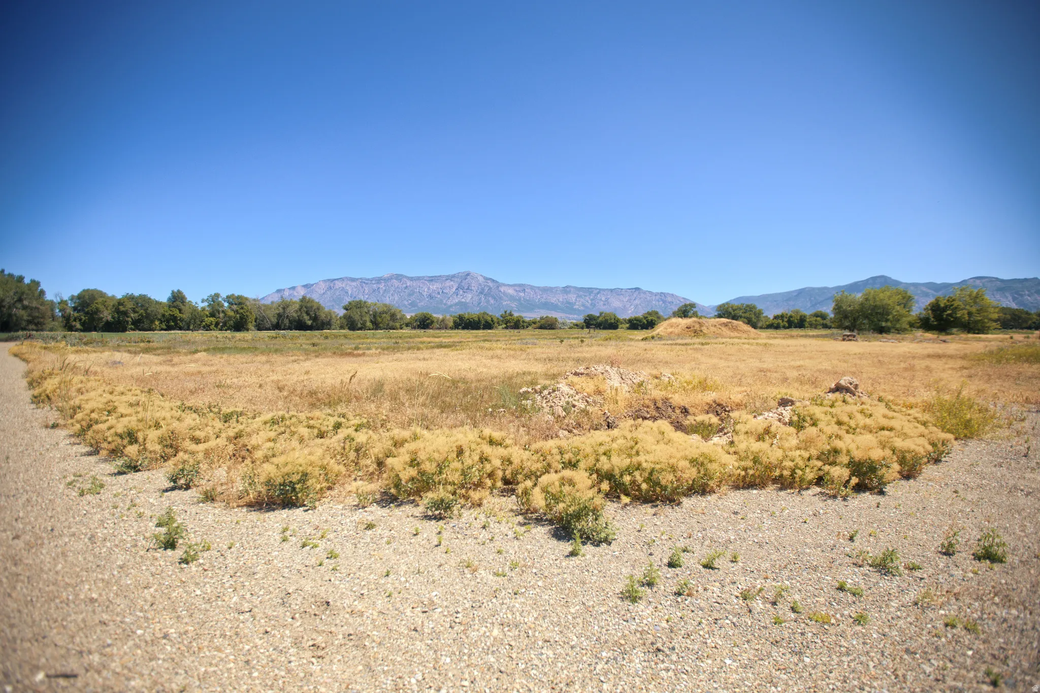 Expansive open land with a gravel perimeter and natural vegetation