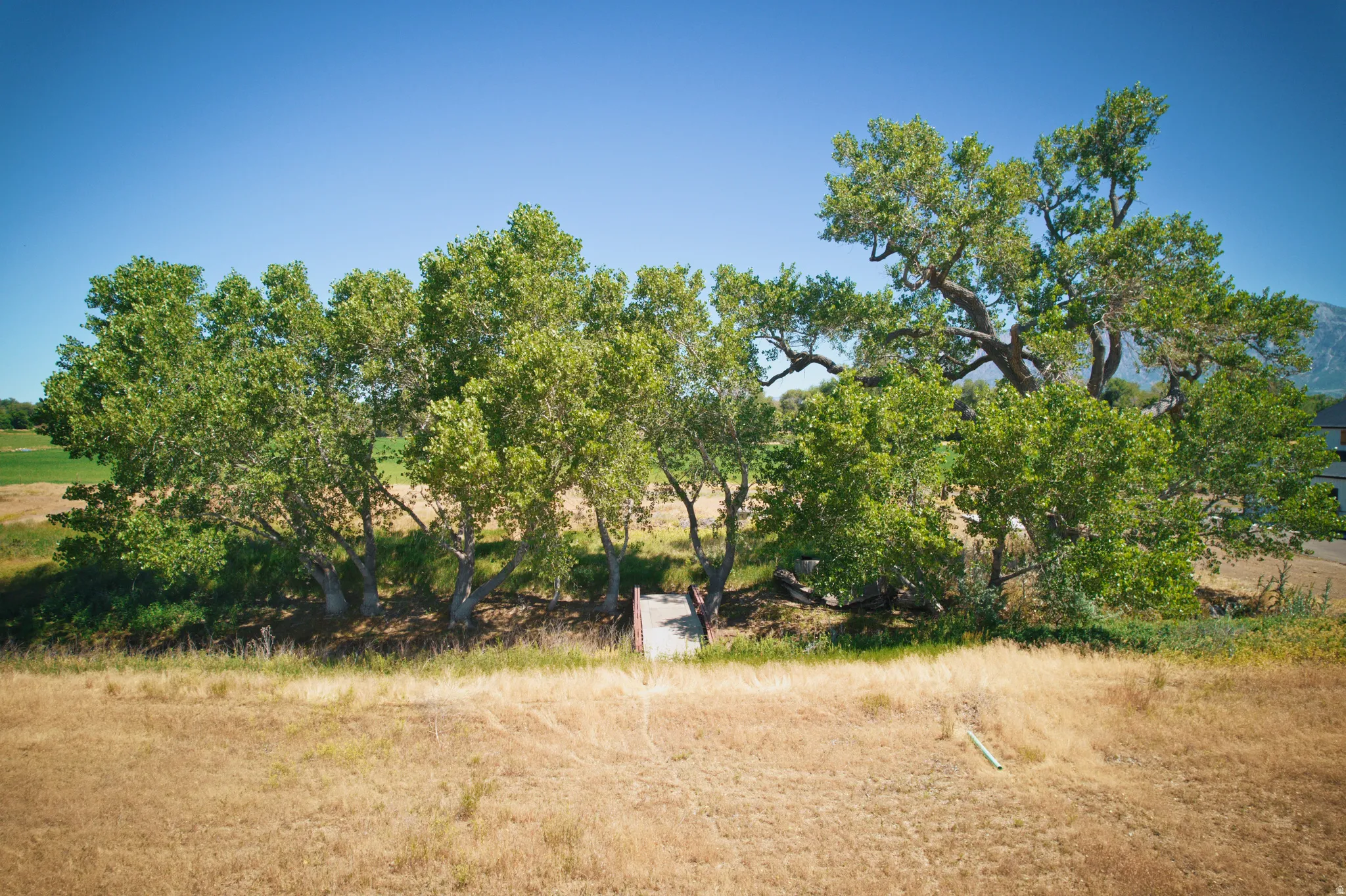 Mature trees providing natural shade and a private setting
