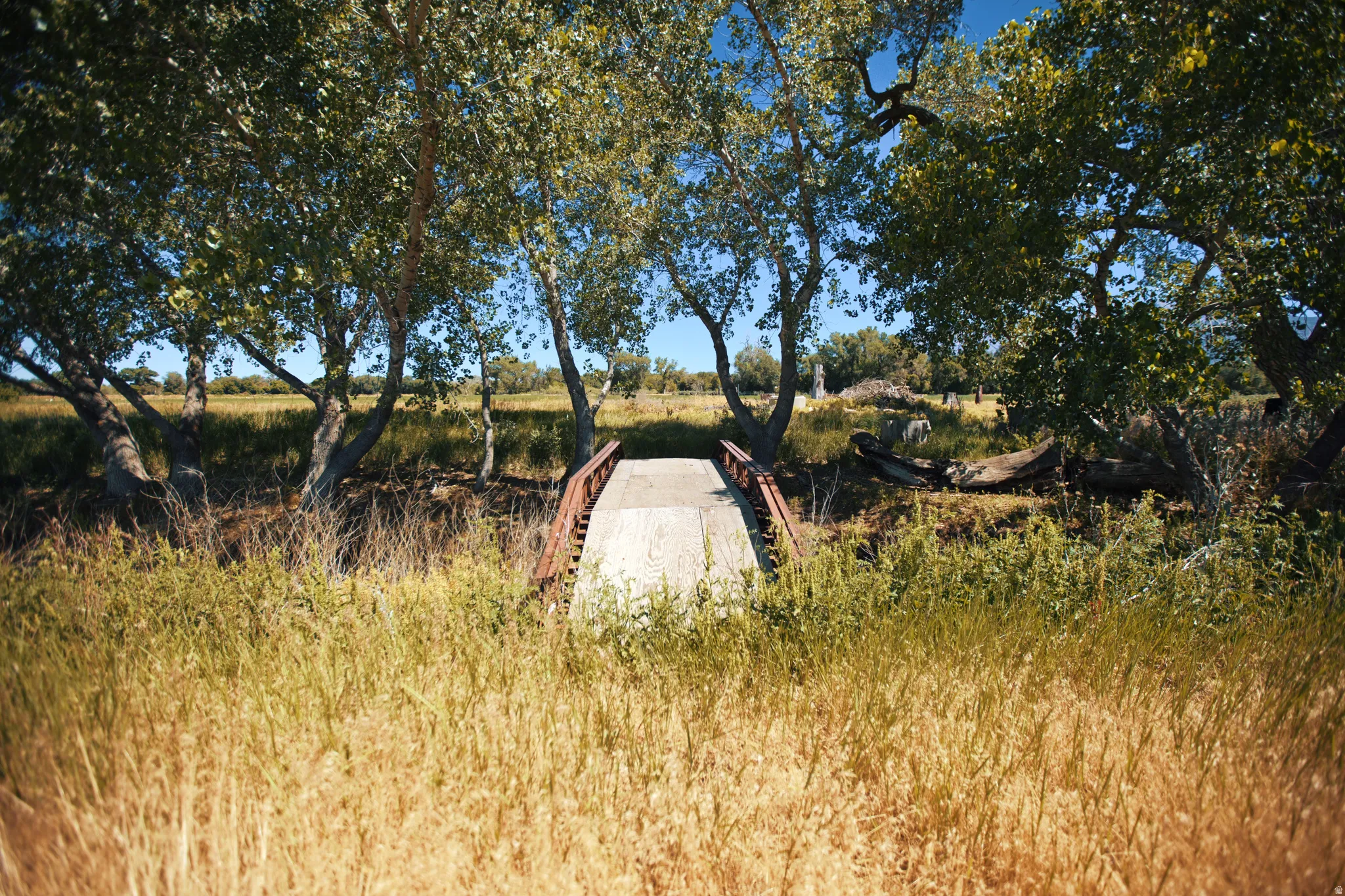Pedestrian bridge over a dry creek bed, bordered by mature trees and natural grasses