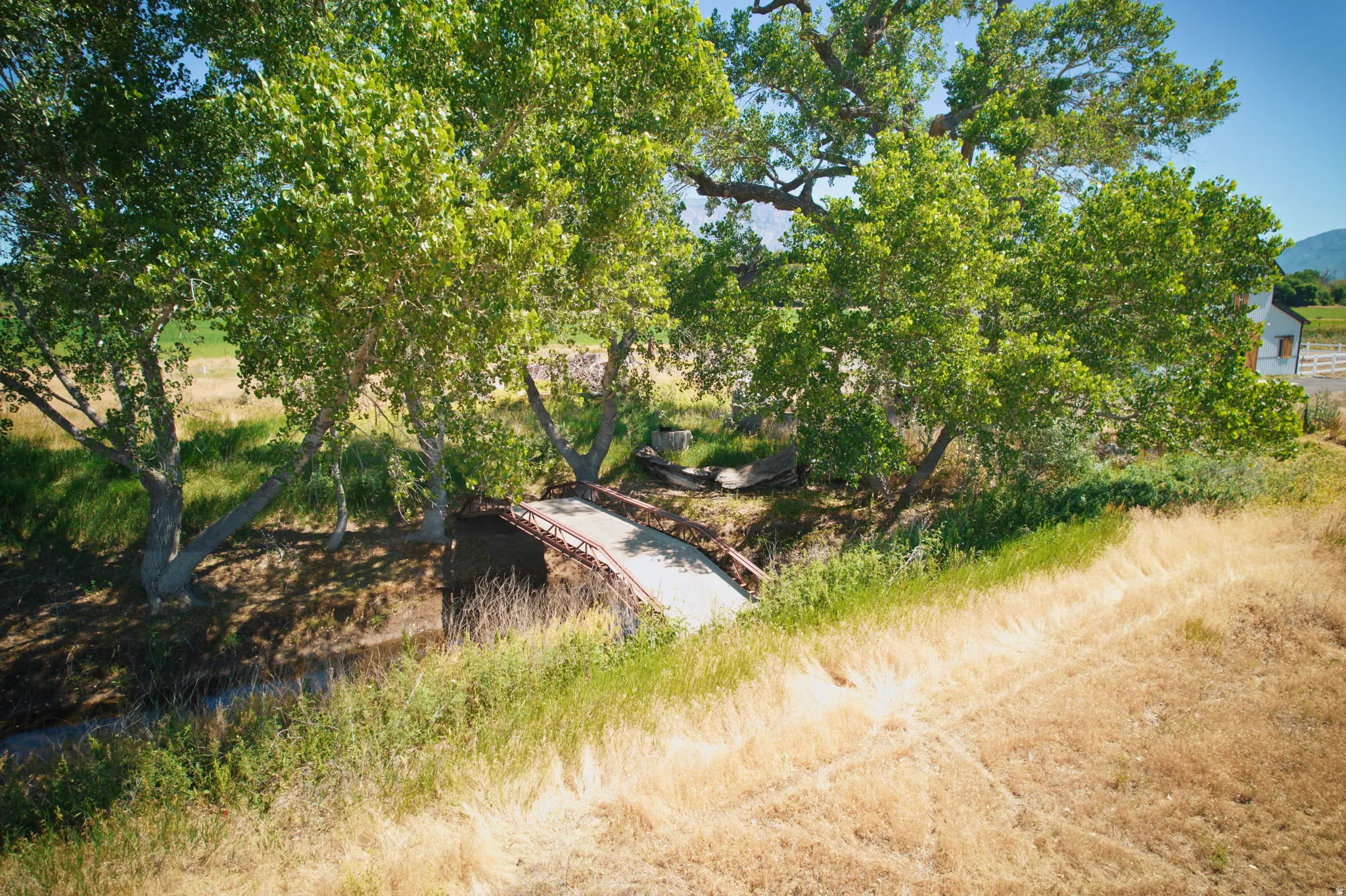 Lush mature trees framing a small footbridge over a natural water feature