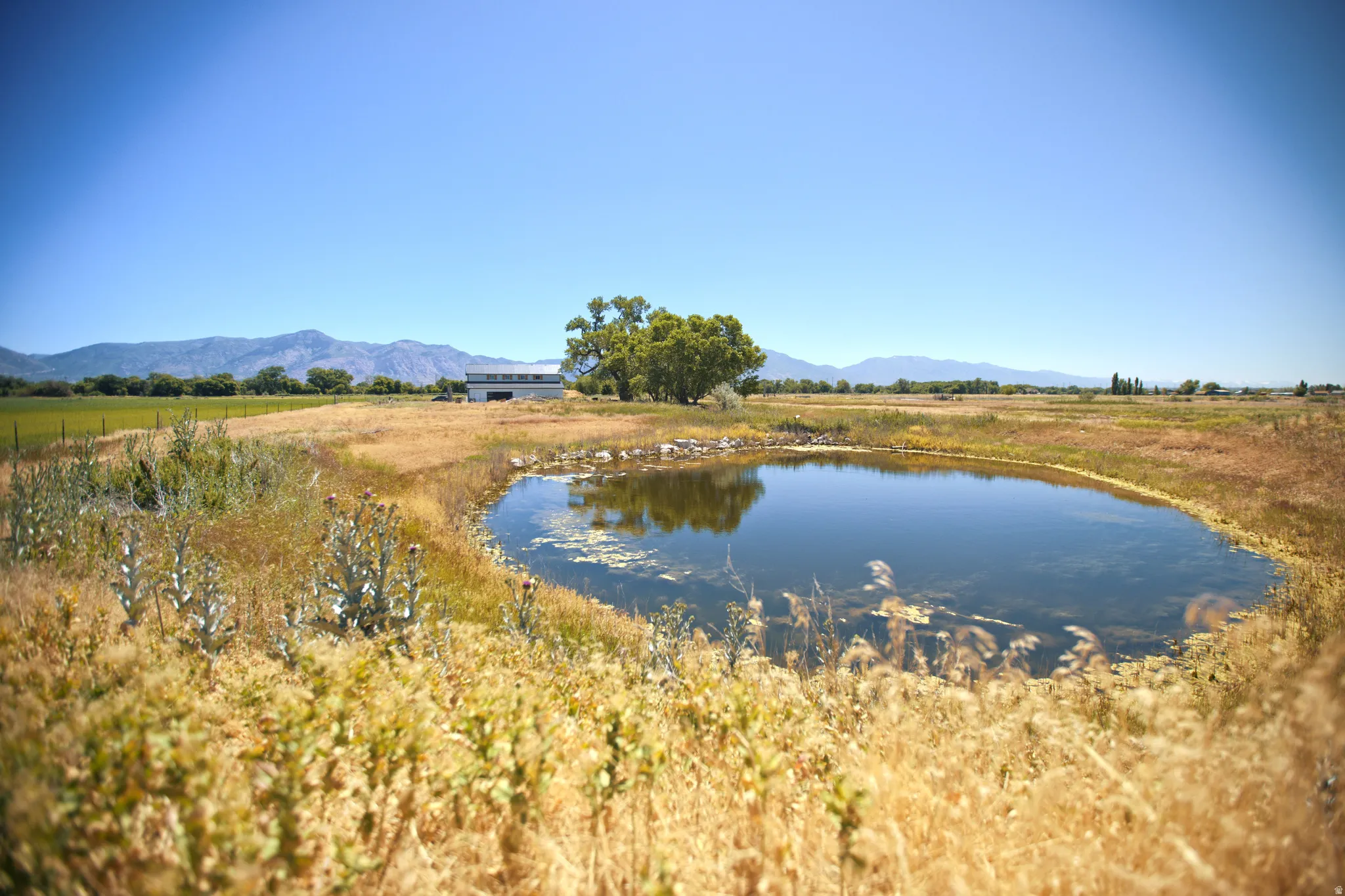 Natural pond feature surrounded by varied vegetation and distant mountain ranges