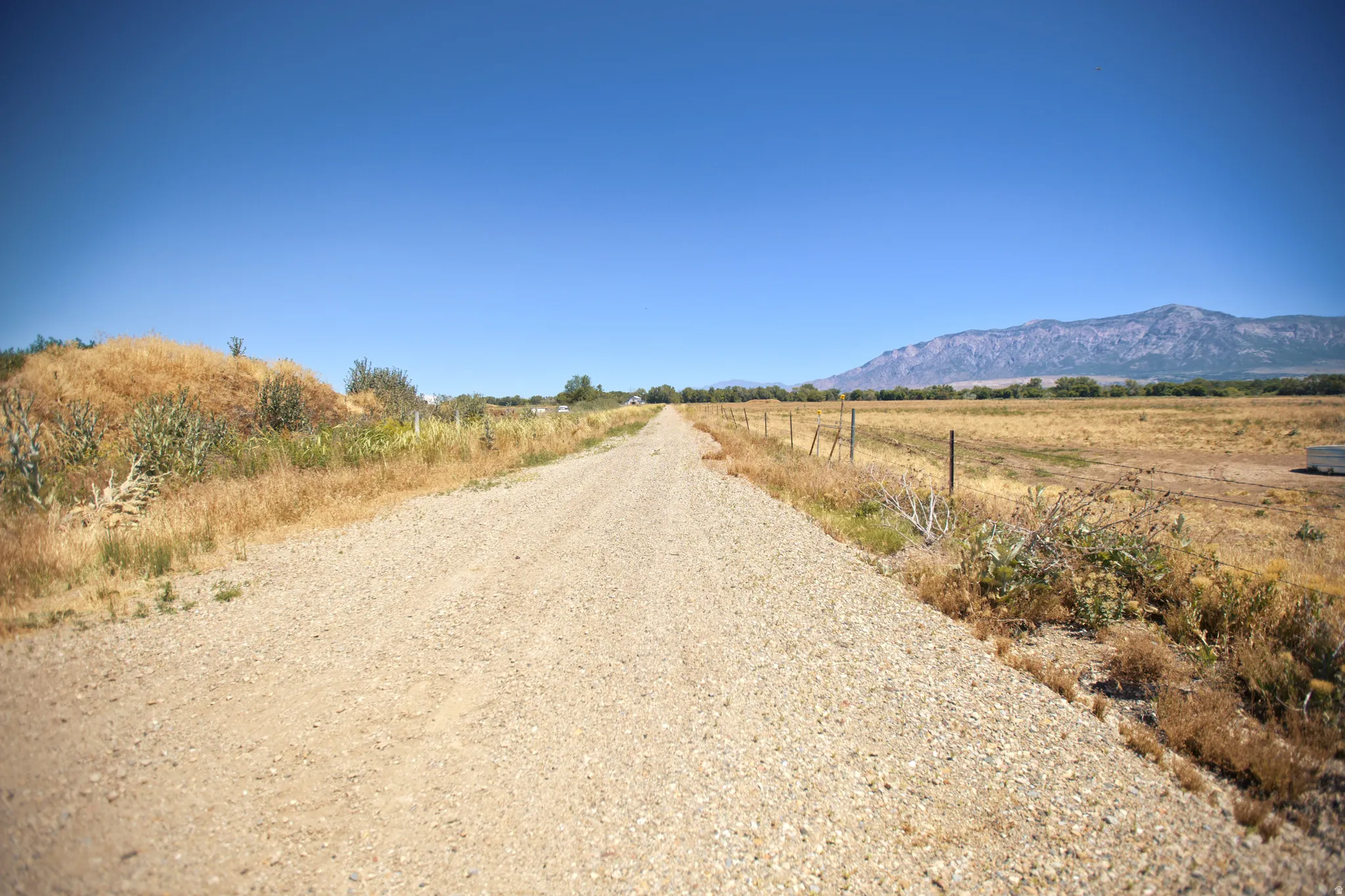 Gravel road extending into an expansive open field with distant mountain scenery