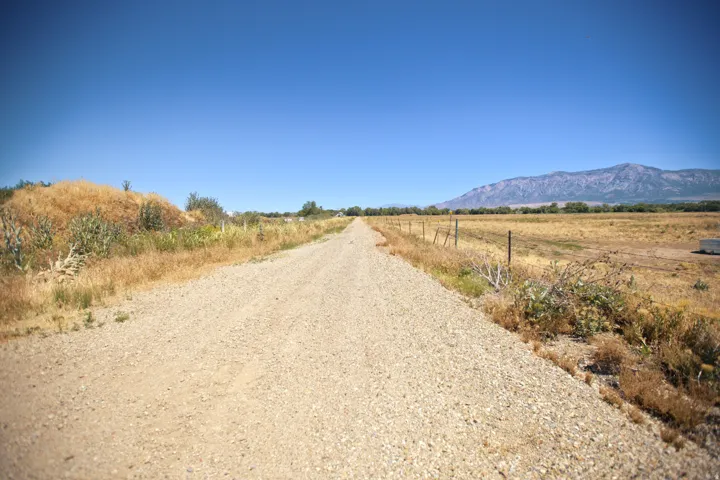 Gravel road extending into an expansive open field with distant mountain scenery