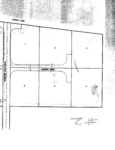 Survey Map. Indicating the division and layout of the property with numbered parcels