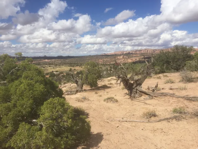 View of local wilderness with rural landscape and a desert landscape