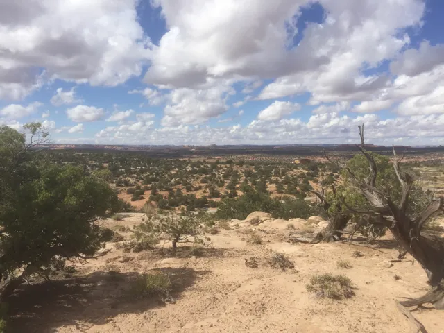 View of local wilderness with a desert landscape and rural landscape