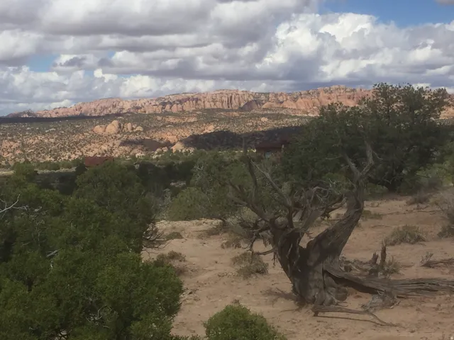 View of mountain background featuring a desert landscape