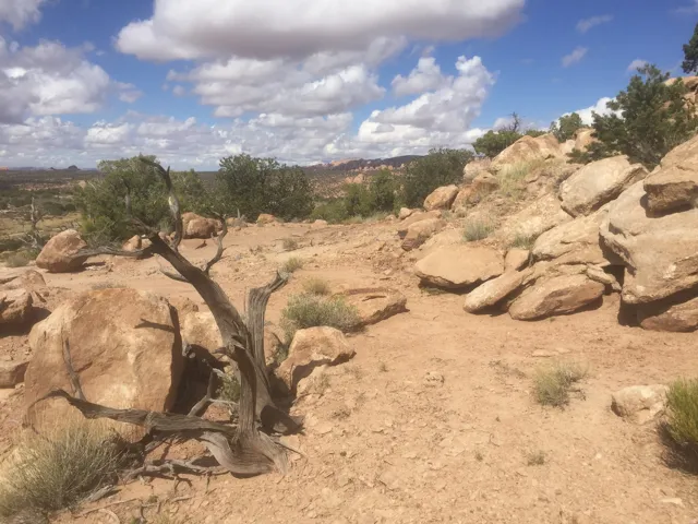 View of local wilderness featuring rural landscape
