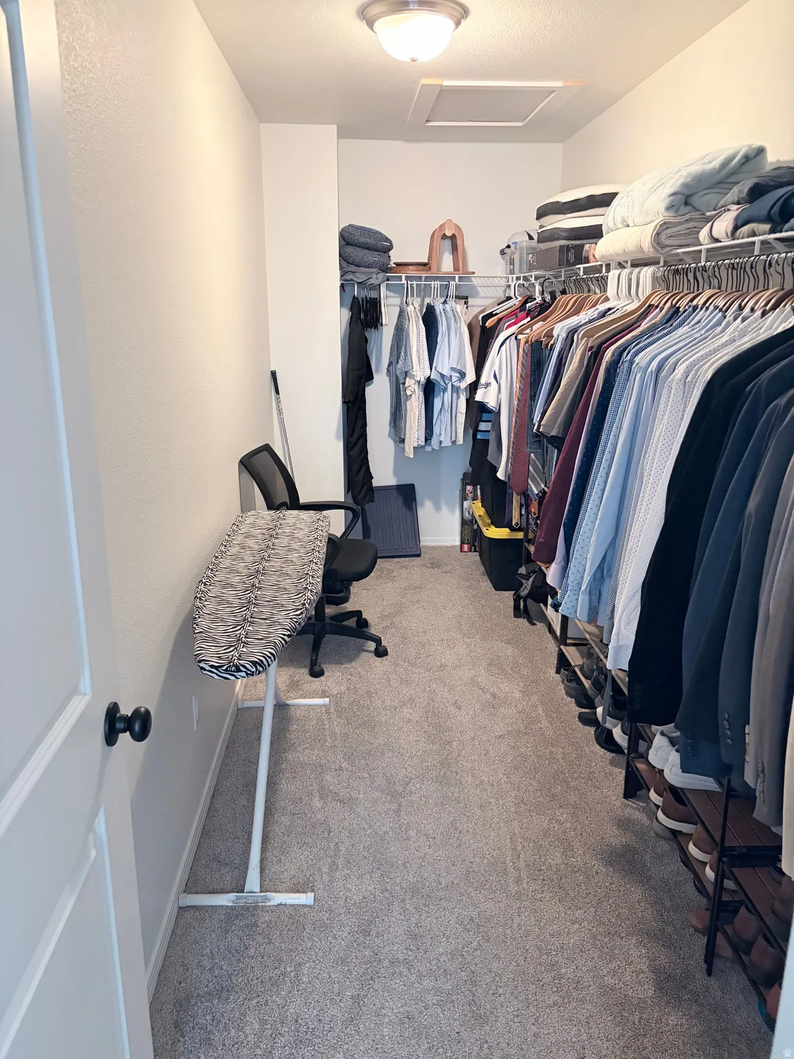 Carpeted closet with ample hanging storage and integrated shelving