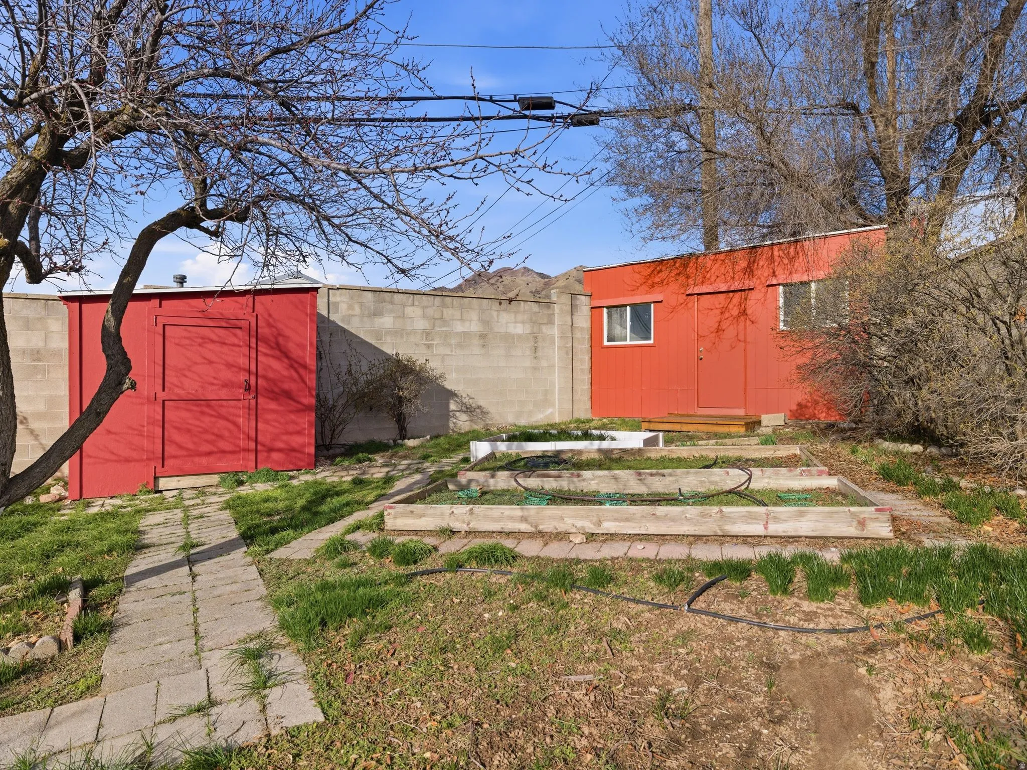 Backyard featuring multiple red storage sheds, a block wall perimeter, and raised garden beds