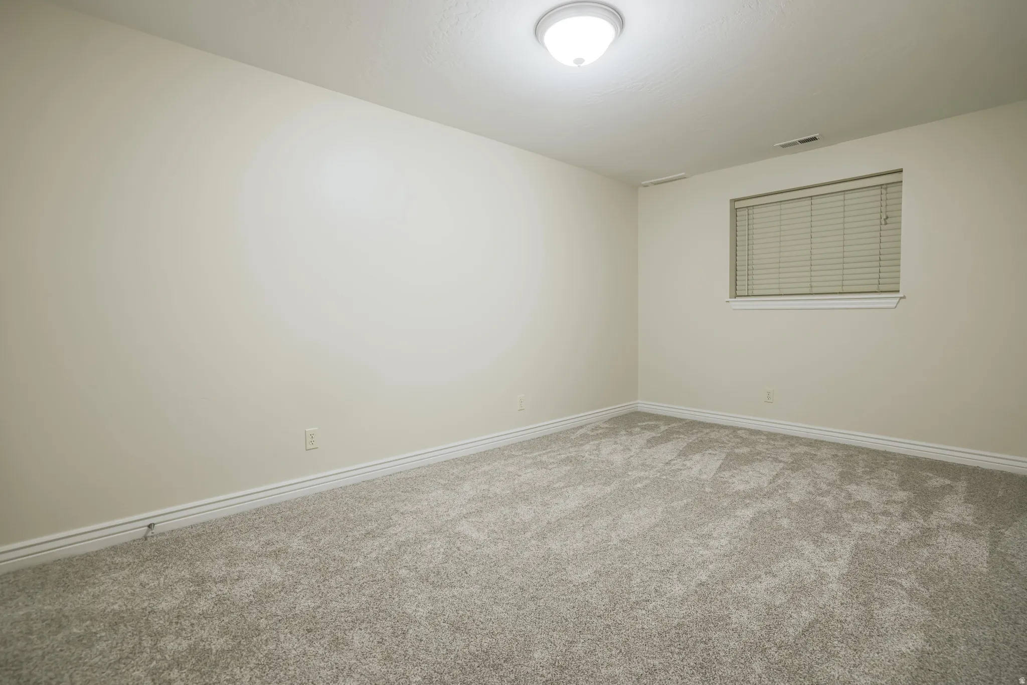 Neutral-toned walls complement the plush carpet