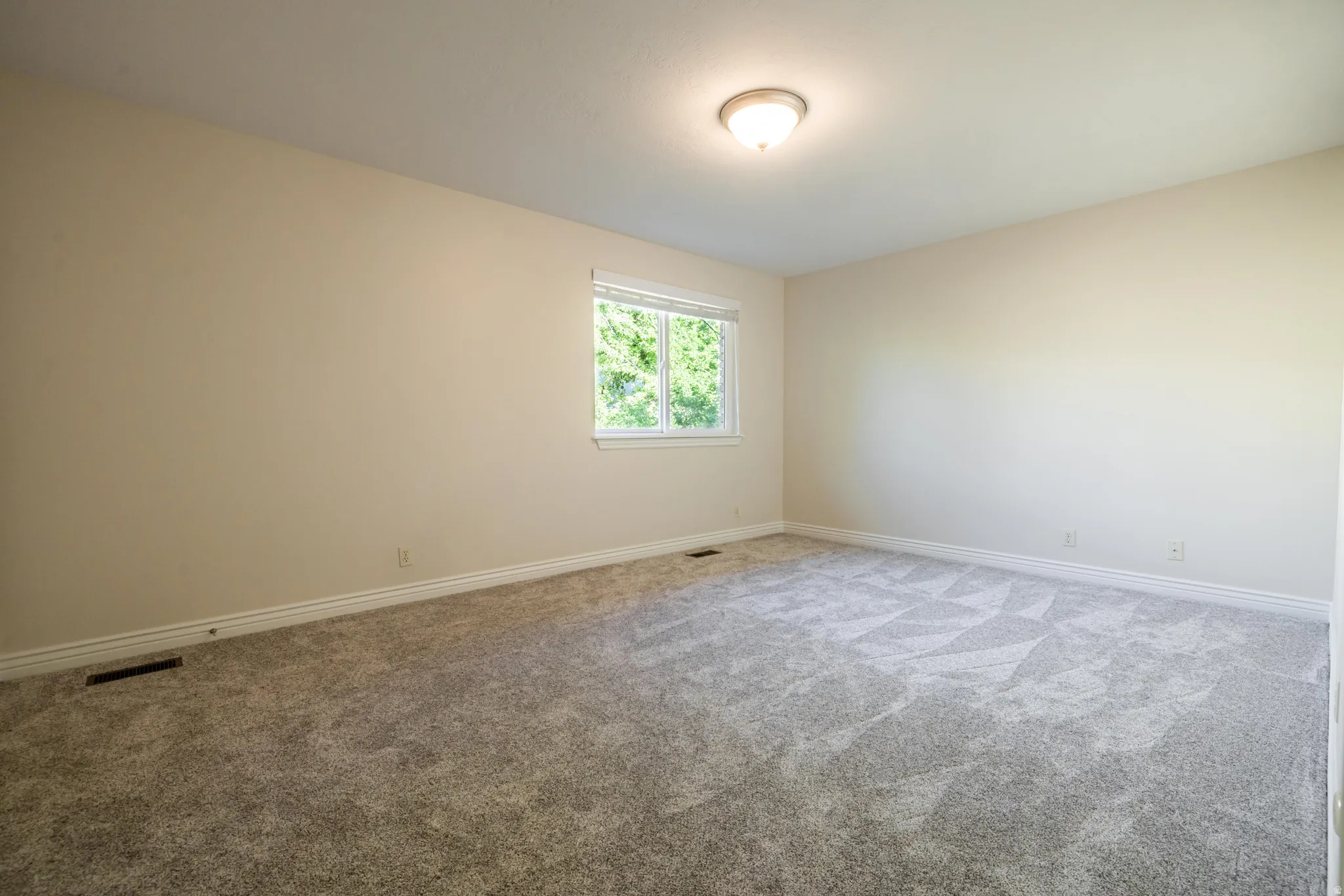 featuring textured carpet flooring, light-toned wall paint, a single window, white baseboards, and a ceiling-mounted light fixture