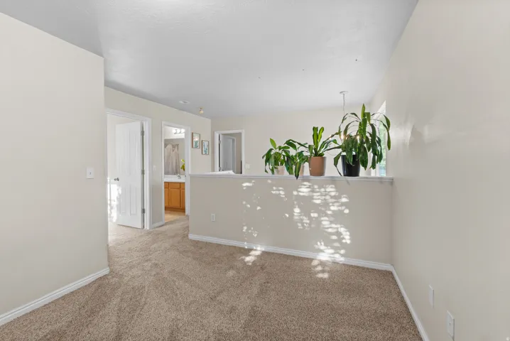 flex space or bonus room