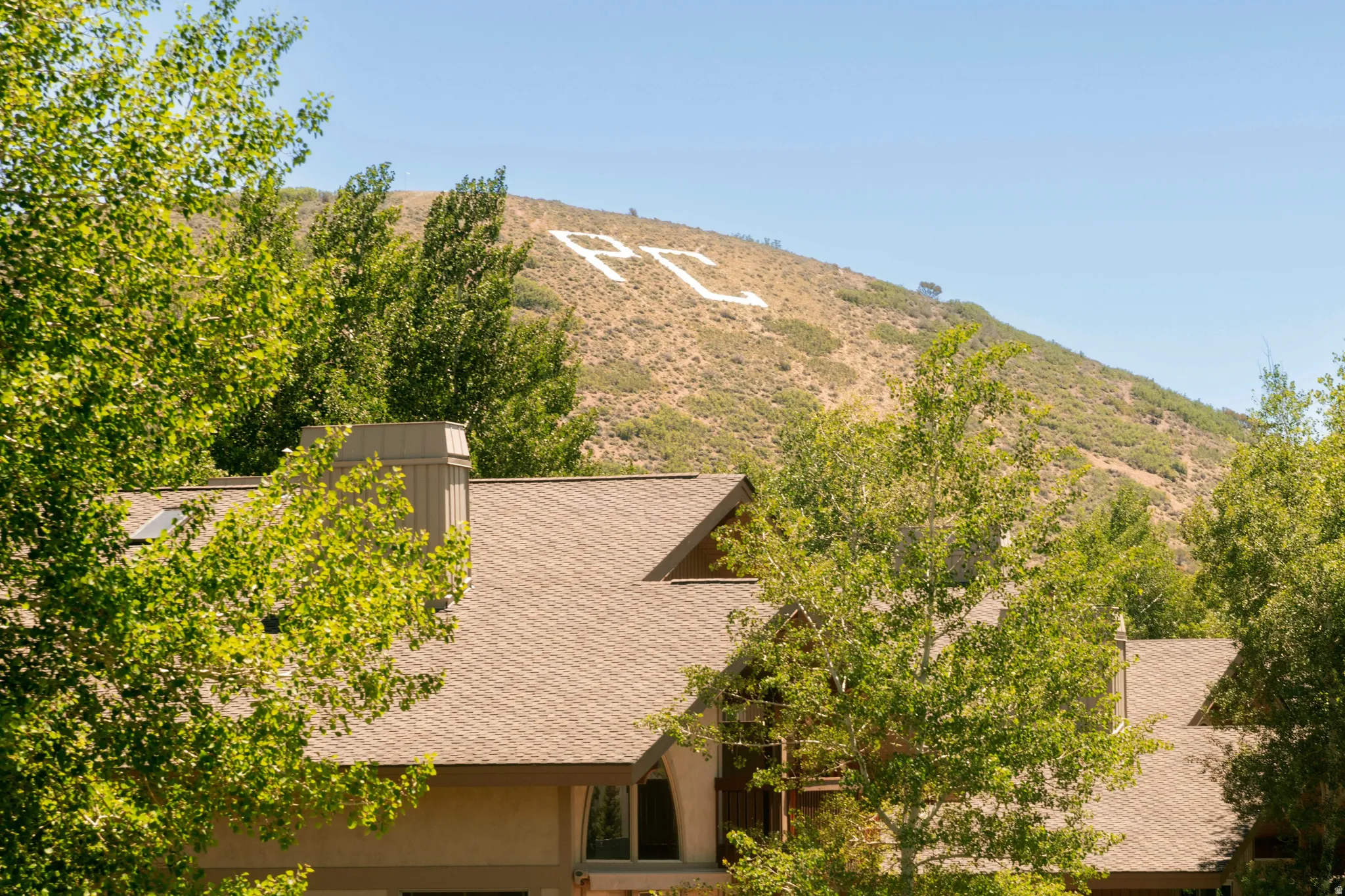 Architectural roofline featuring asphalt shingles and a prominent chimney