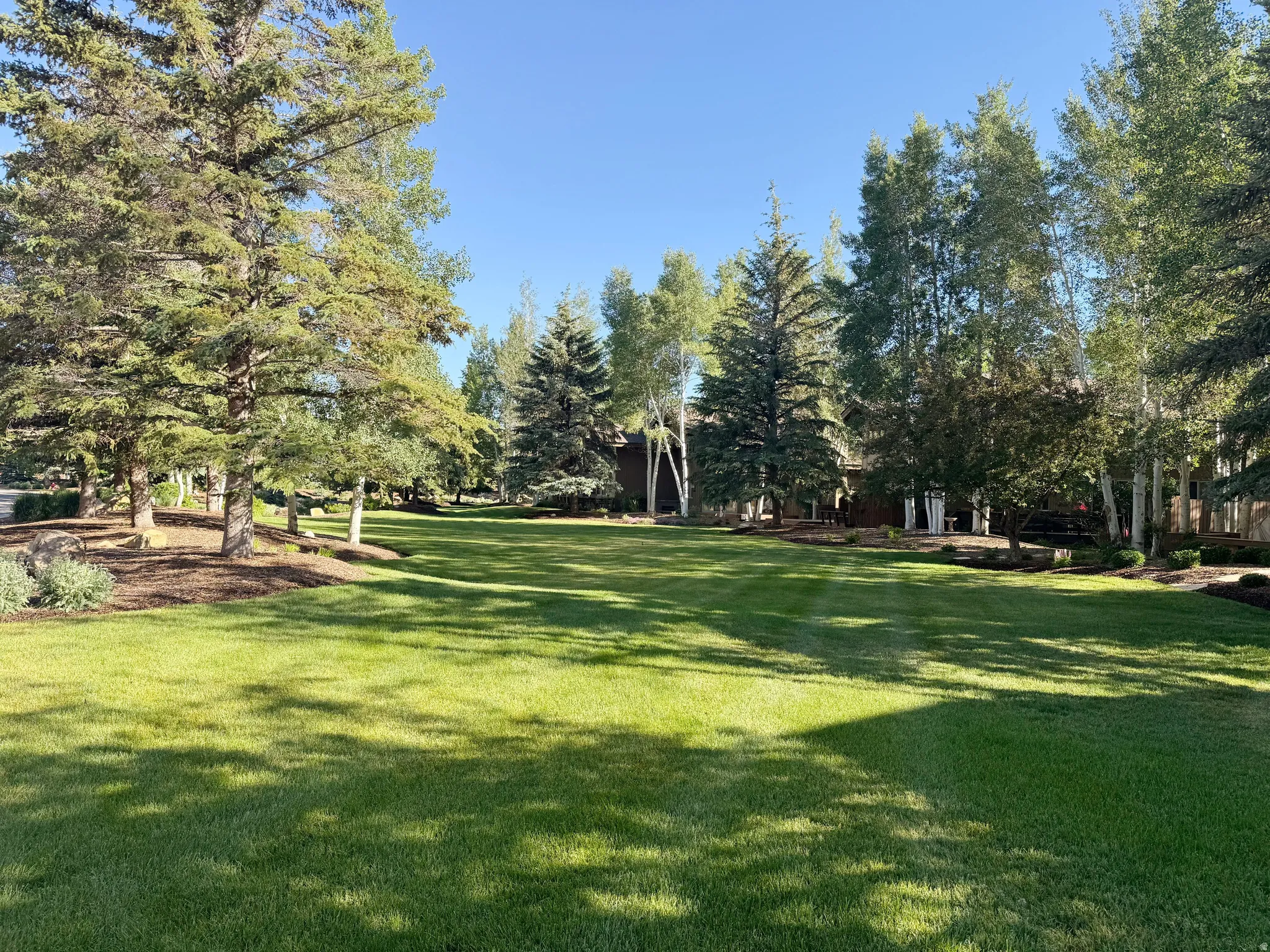 Expansive lawn surrounded by mature trees