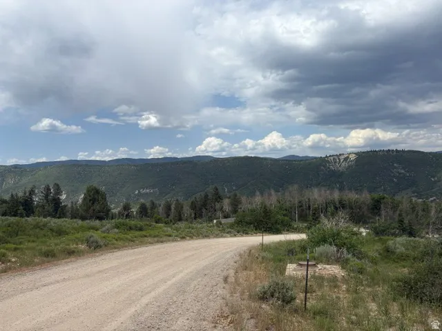 Gravel road traversing natural landscaping with distant mountains