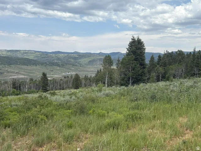 Expansive natural landscape featuring varied topography, mature evergreen trees, and distant rolling hills