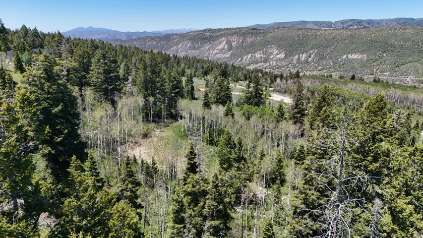 Expansive mountain landscape featuring abundant evergreen and deciduous trees, a distant winding road, and natural land contours