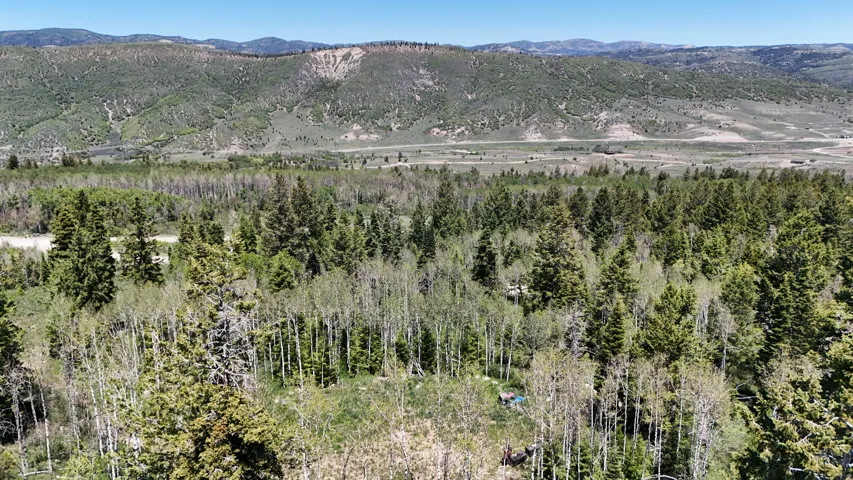 Expansive mountainous landscape featuring dense forests, open fields, and distant ridgelines
