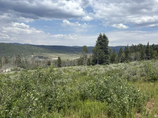 Expansive natural landscape featuring lush green foliage, mature evergreen trees, distant rolling hills, and a partially cloudy sky