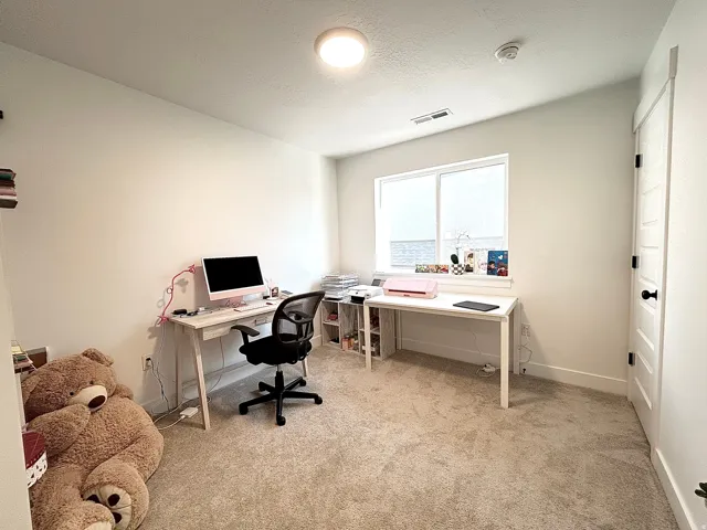 Bright room featuring neutral carpet, a large window, white walls, a flush-mount ceiling light, and a paneled door with dark hardware