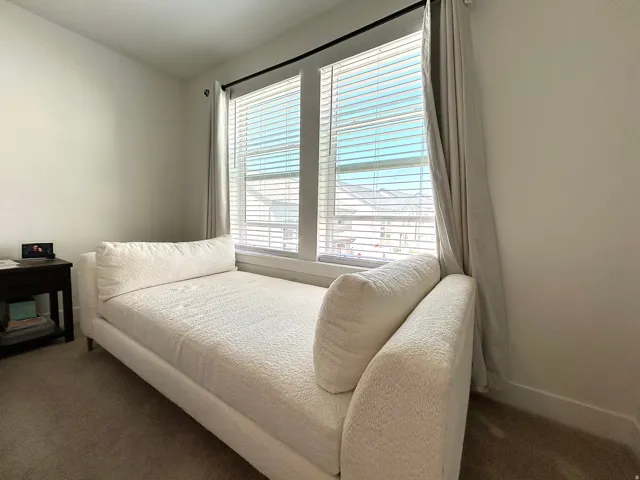 Bright room featuring twin windows with blinds and curtain rods, light-colored walls, and carpeting