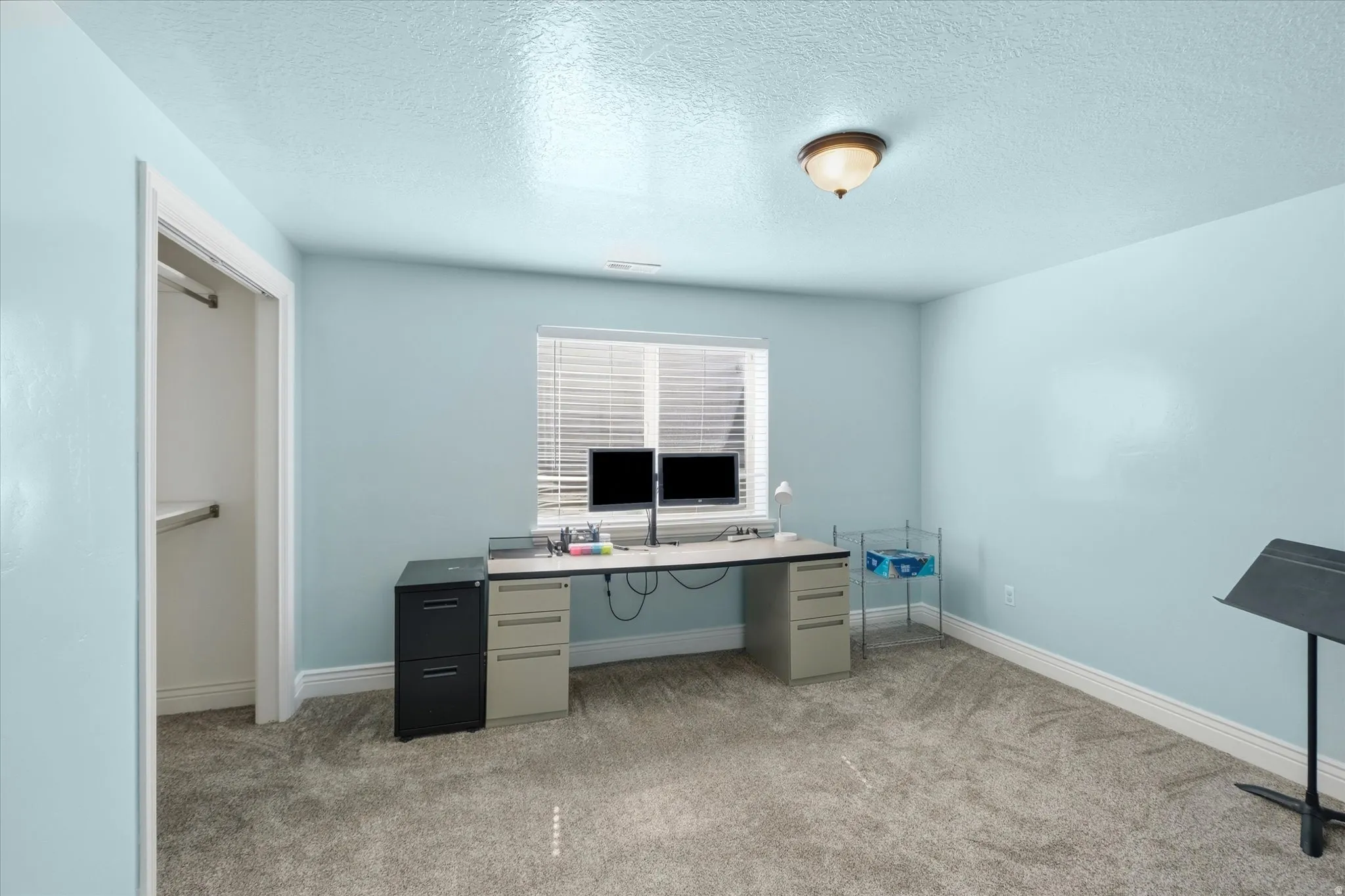 Carpeted interior space featuring a window with horizontal blinds, a ceiling-mounted light fixture, white trim, and a built-in closet with shelving and a hanging rod