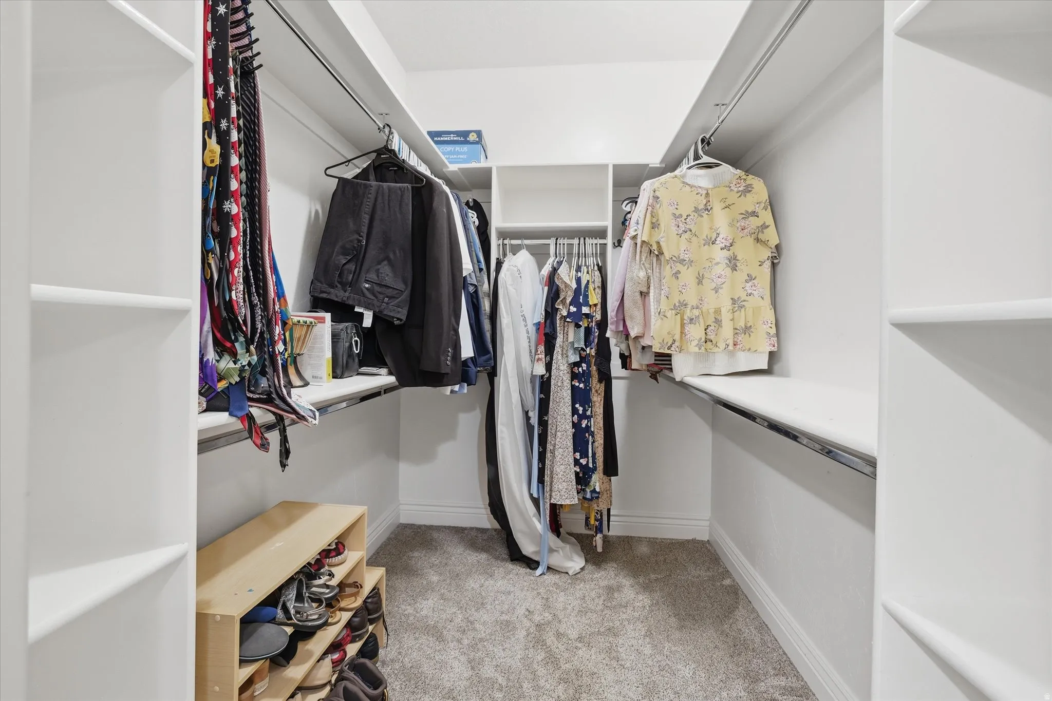 Walk-in closet featuring built-in shelving, multiple hanging rods, and neutral carpet flooring