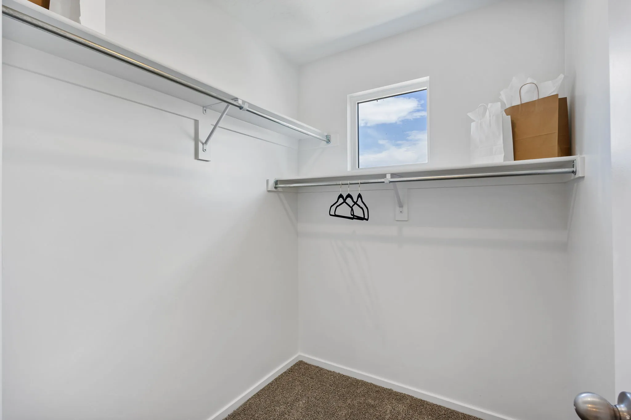 Walk-in closet featuring built-in shelving, two clothing rods, a window, and neutral carpeting
