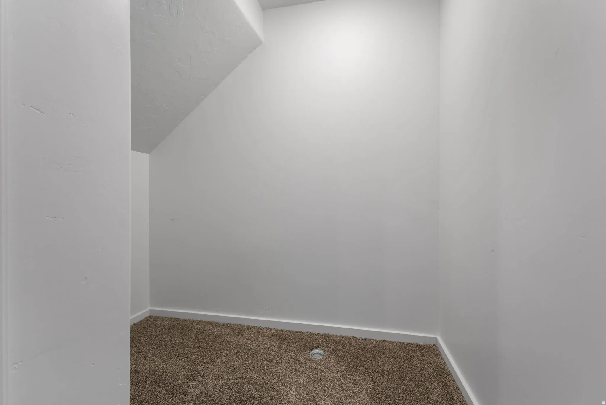 Carpeted storage space with white walls and trim