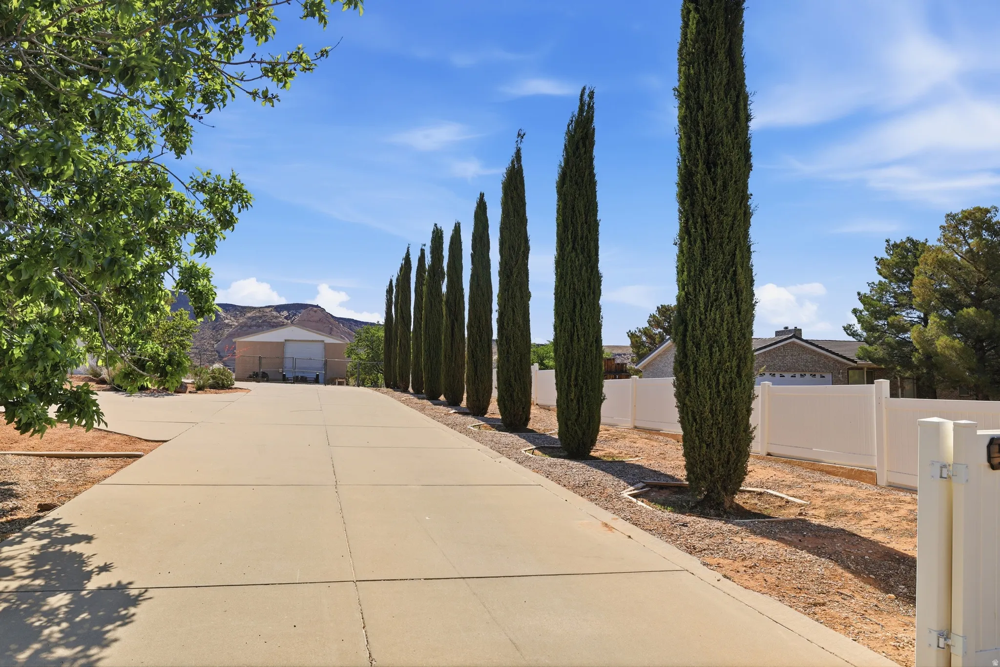 Long concrete driveway flanked by a row of tall, slender evergreen trees and a white privacy fence