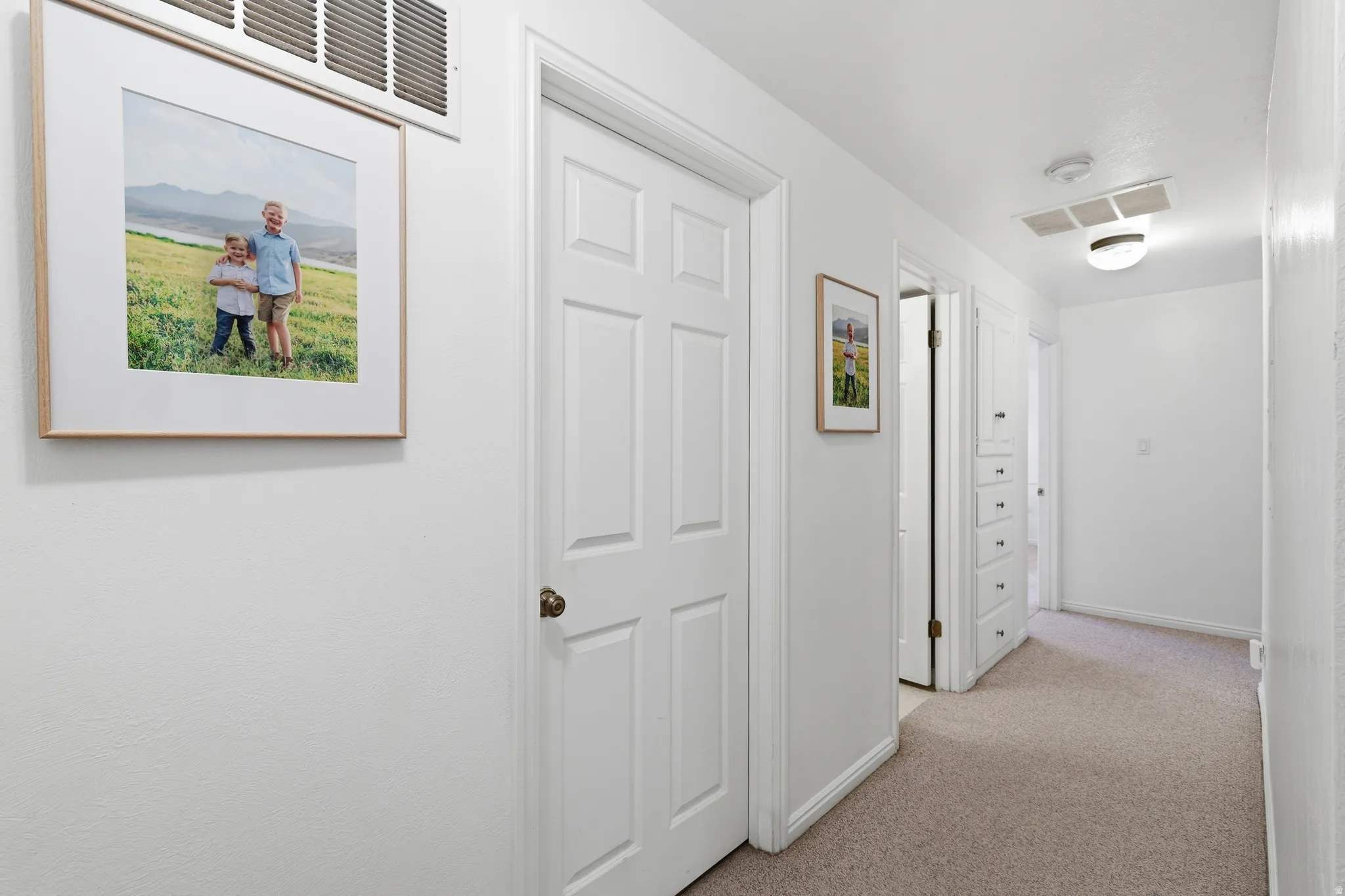 Hallway featuring light-toned carpeting, white painted walls, and multiple paneled doors