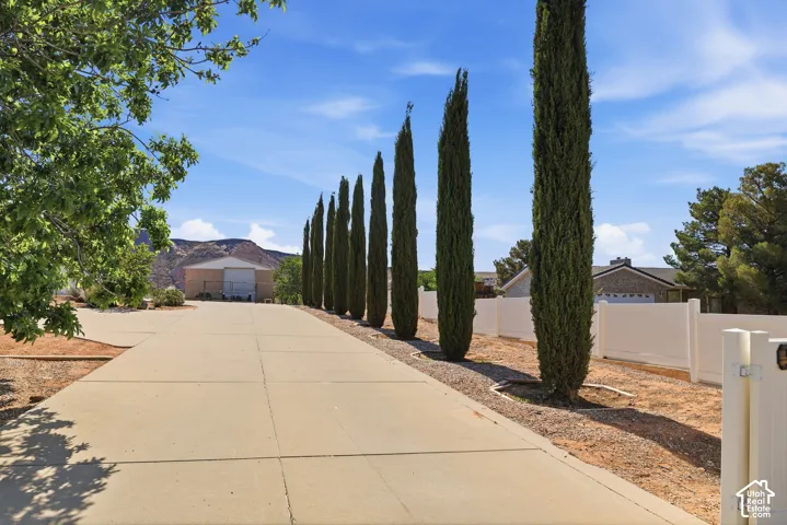 Long concrete driveway flanked by a row of tall, slender evergreen trees and a white privacy fence