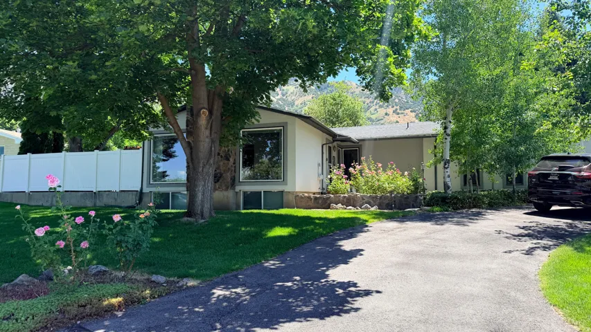Shaded front yard