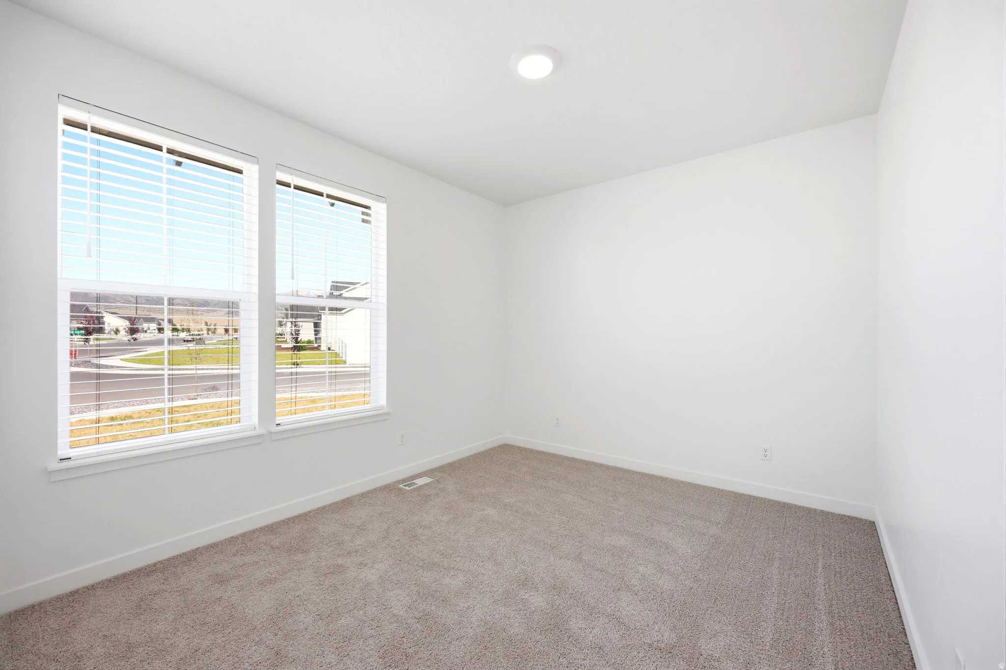 Windowed room featuring white walls, neutral carpet, and a ceiling-mounted light fixture