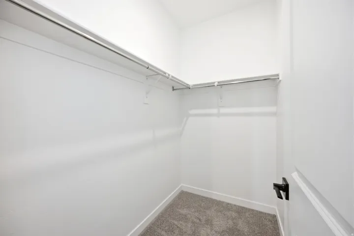 Walk-in closet with carpet flooring, white walls, and built-in shelving