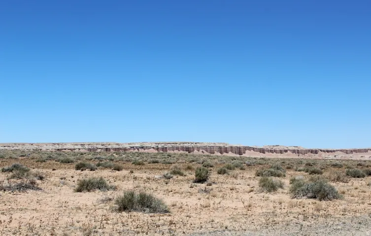 Expansive desert landscape featuring natural rock formations under a clear blue sky