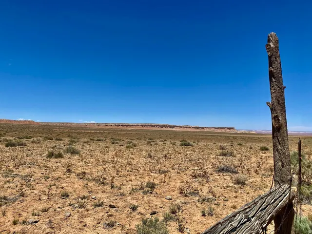 Expansive desert landscape with a clear blue sky