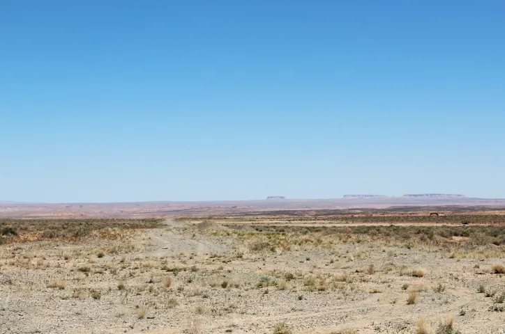 Unobstructed desert landscape with a dirt road extending into the distance