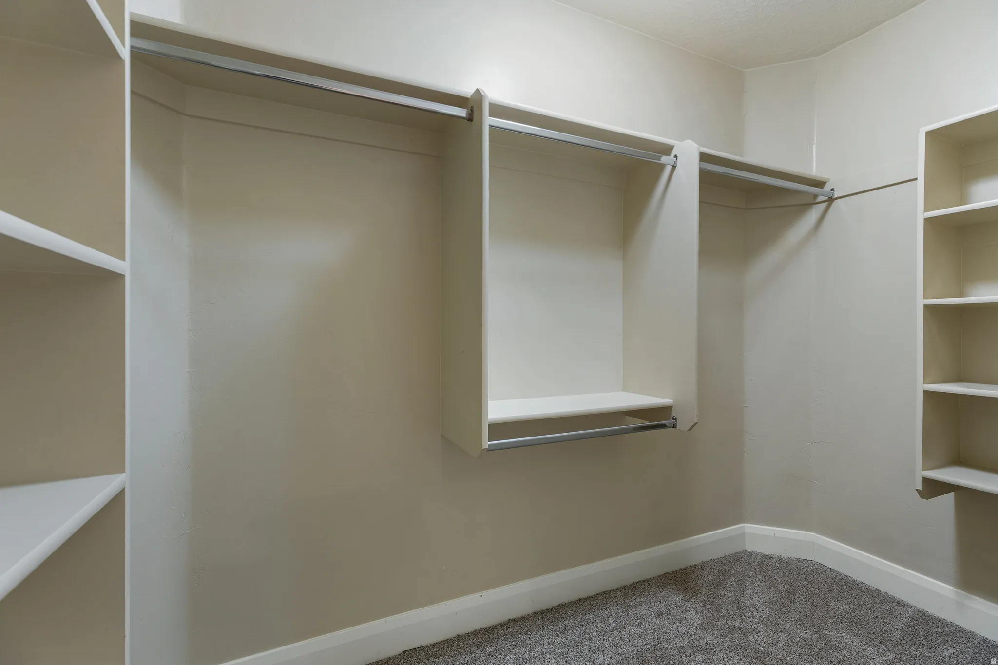Walk-in closet featuring extensive built-in shelving, multiple hanging rods, and neutral-toned carpeting