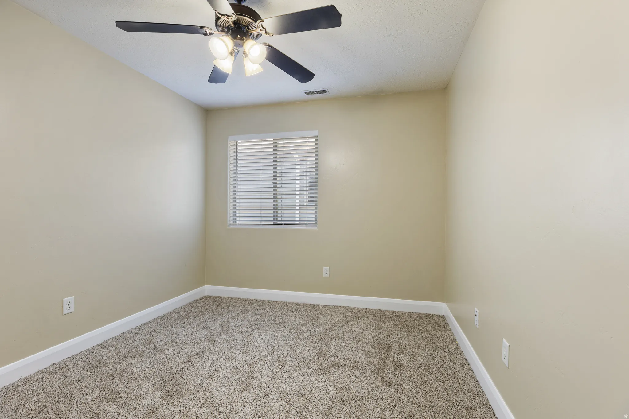 Neutral-toned walls complement the textured carpet flooring