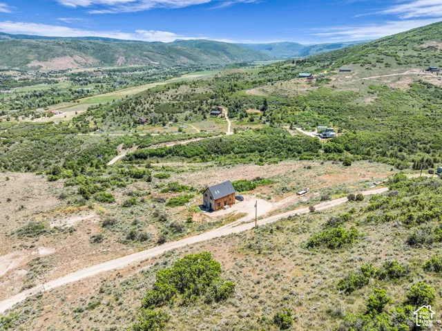 Rustic-style residence featuring a brown wood-finish exterior and a dark roof, set amidst a expansive, verdant landscape with scattered shrubs and trees
