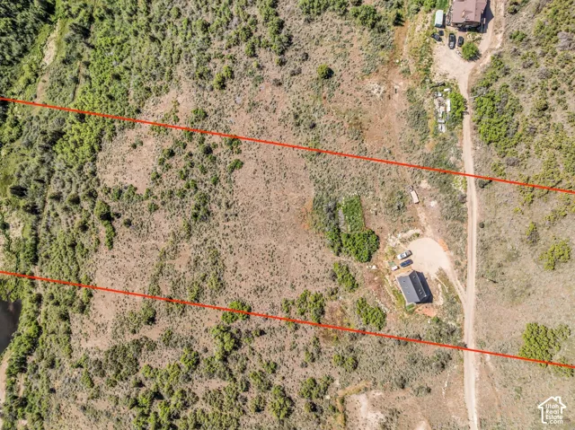 Expansive undeveloped land parcel featuring natural ground cover and mature vegetation