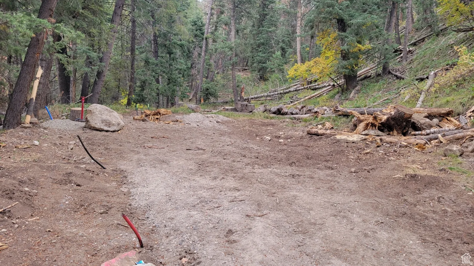 Cleared building pad with surrounding mature trees and natural landscape