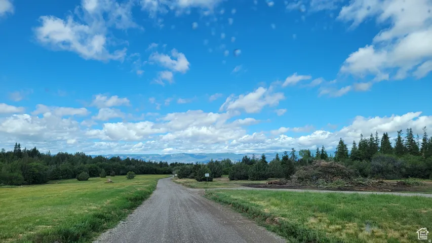 Unpaved driveway traversing a verdant landscape with distant mountains