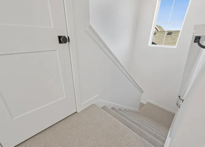 Carpeted staircase featuring a skylight, white paneled doors, matte black door hardware, and white handrails