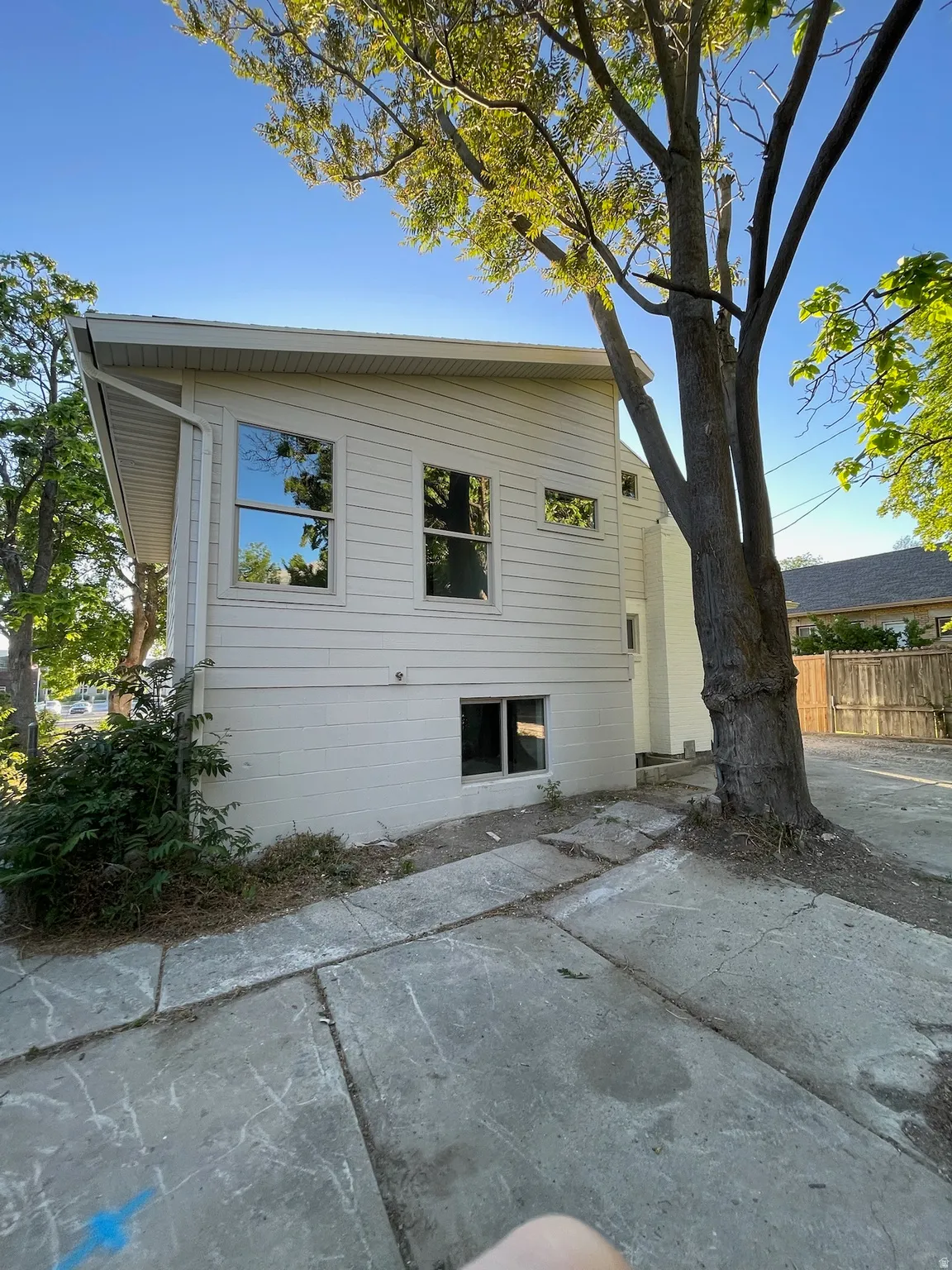 White horizontal siding exterior with a sloped roofline, multiple windows, and a mature tree
