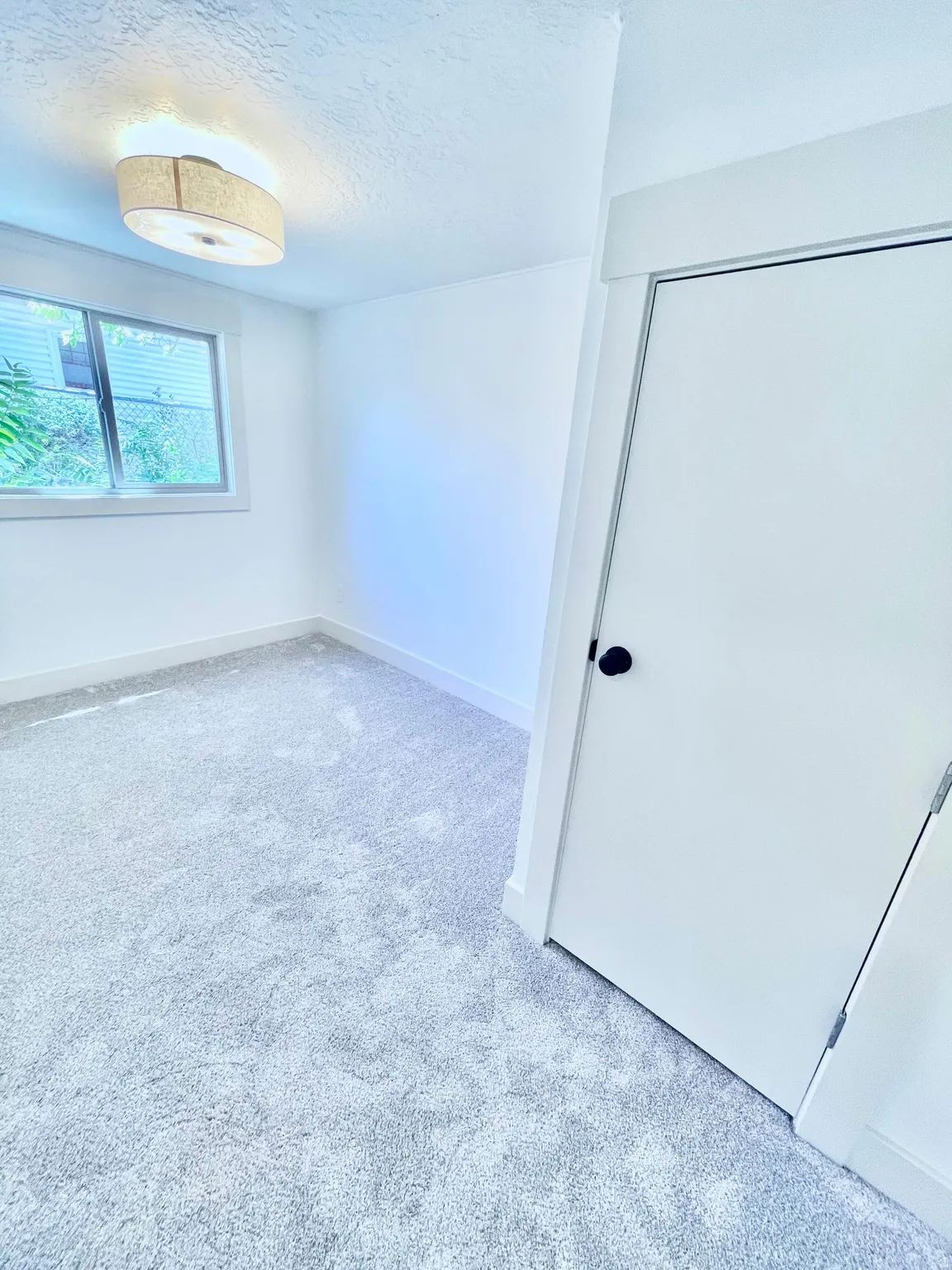 Room featuring plush gray carpeting, white walls, and a contemporary flush-mount ceiling light